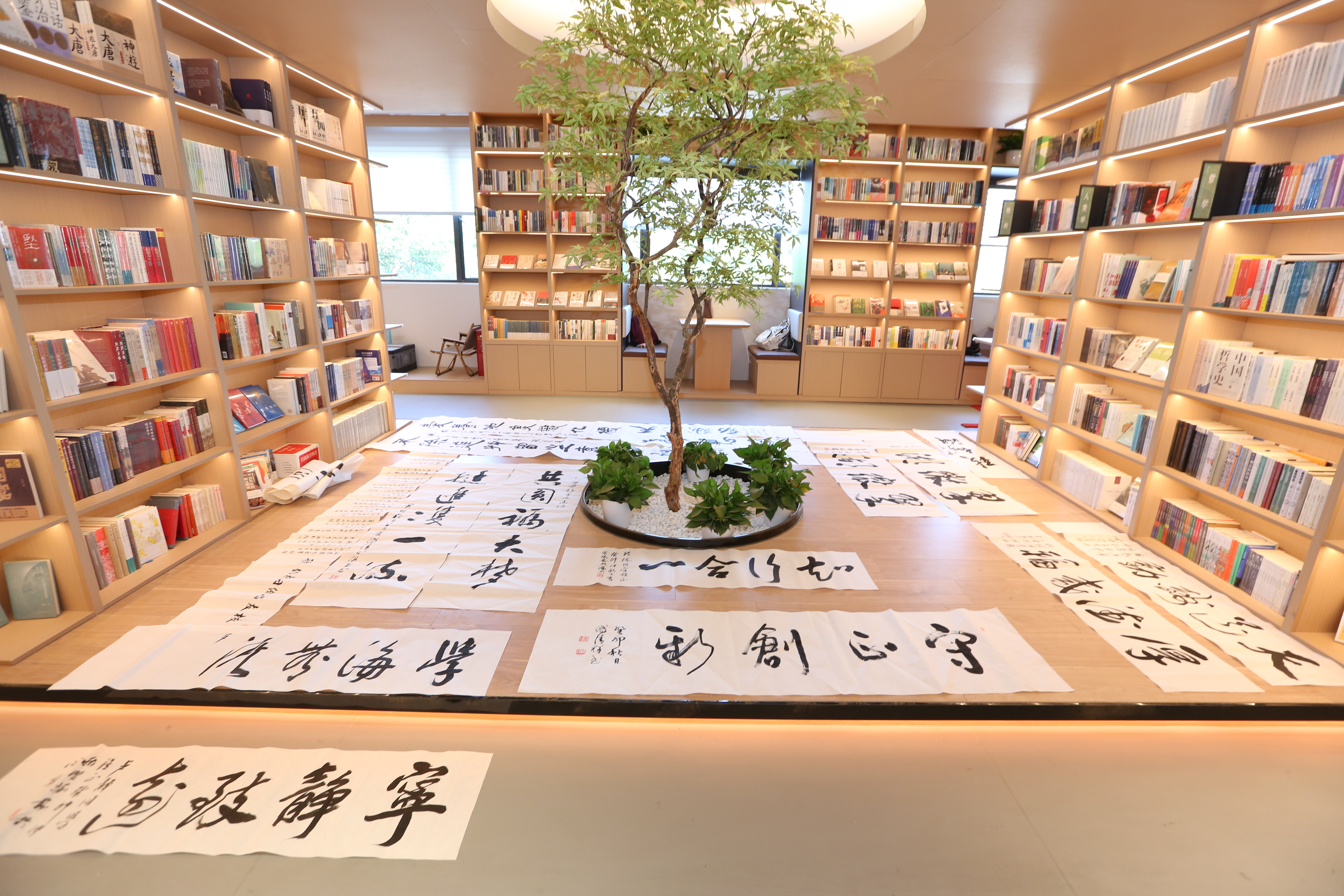 作品展示2.JPG